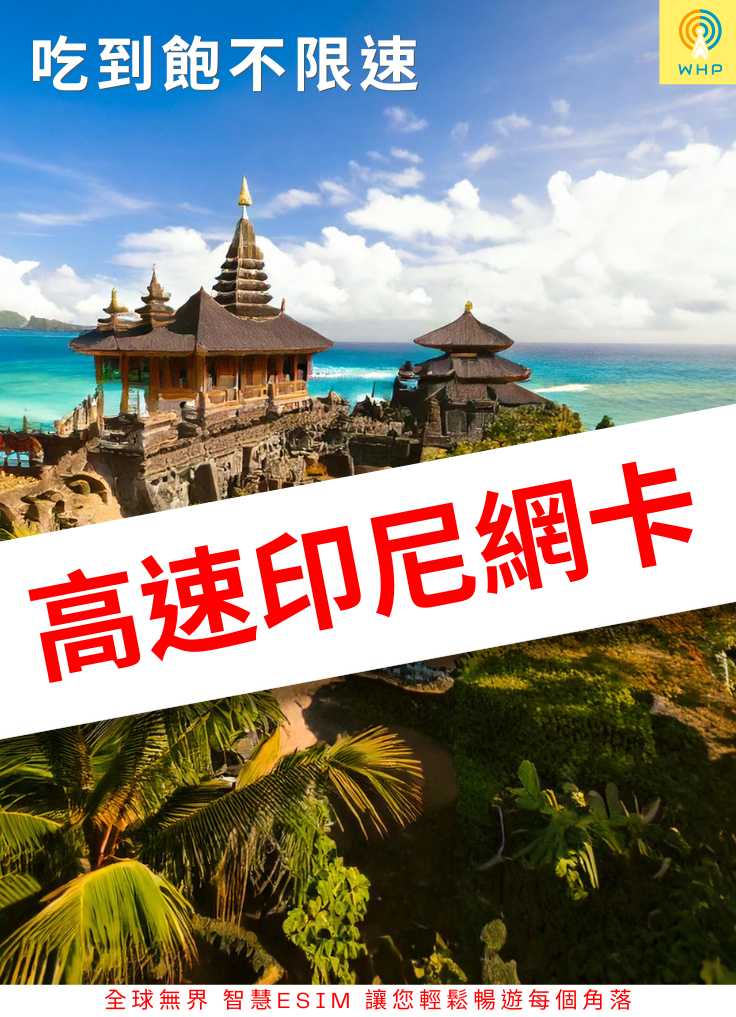 高速印尼網卡(吃到飽不限速) 1天起